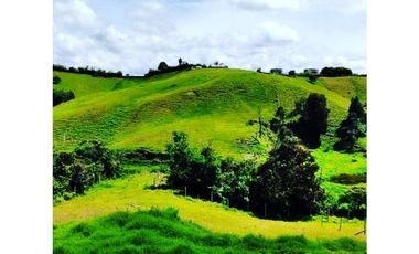 VENTA DE LOTE EN MARINILLA DE 8.000 M2