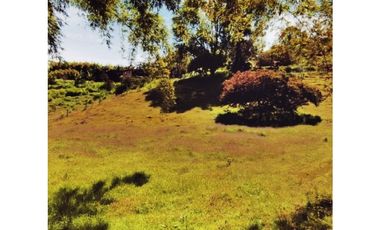 VENTA DE LOTE EN MARINILLA DE 8.000 M2