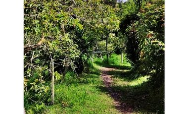 VENTA DE LOTE EN MARINILLA DE 8.000 M2