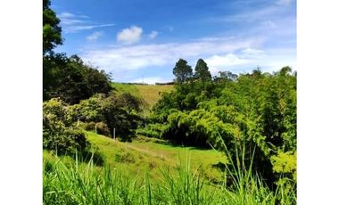 VENTA DE LOTE EN MARINILLA DE 8.000 M2