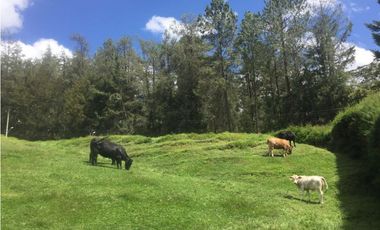 Venta  De Lote En El Retiro sector la Maria
