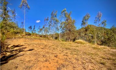 Venta Lote Independiente Uso Comercial El Retiro