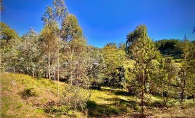 Venta Lote Independiente Uso Comercial El Retiro