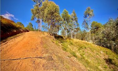 Venta Lote Independiente Uso Comercial El Retiro