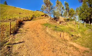 Venta Lote Independiente Uso Comercial El Retiro