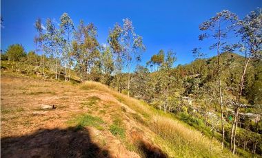 Venta Lote Independiente Uso Comercial El Retiro