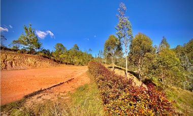 Venta Lote Independiente Uso Comercial El Retiro