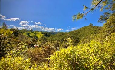 Venta Lote Independiente Uso Comercial El Retiro