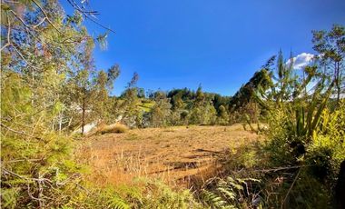 Venta Lote Independiente Uso Comercial El Retiro