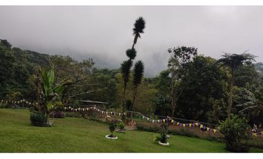 FINCA EN DAPA EN BOSQUE DE NIEBLA