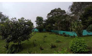FINCA EN DAPA EN BOSQUE DE NIEBLA