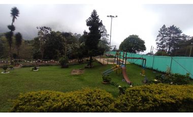 FINCA EN DAPA EN BOSQUE DE NIEBLA