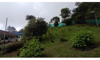 FINCA EN DAPA EN BOSQUE DE NIEBLA