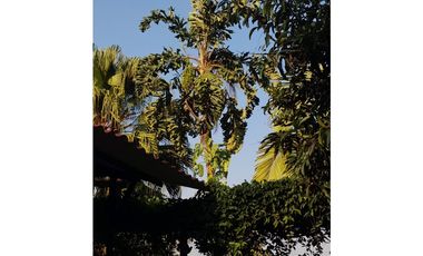 MESITAS DEL COLEGIO - FINCA AGROECOLOGICA