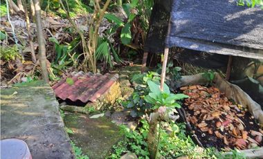 MESITAS DEL COLEGIO - FINCA AGROECOLOGICA