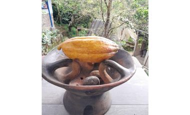 MESITAS DEL COLEGIO - FINCA AGROECOLOGICA