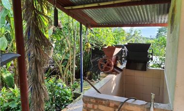 MESITAS DEL COLEGIO - FINCA AGROECOLOGICA