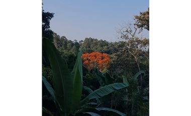 MESITAS DEL COLEGIO - FINCA AGROECOLOGICA
