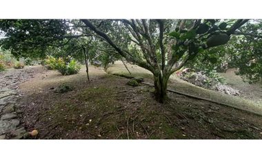 Finca En Mesitas Del Colegio Ideal Para Proyecto Turístico