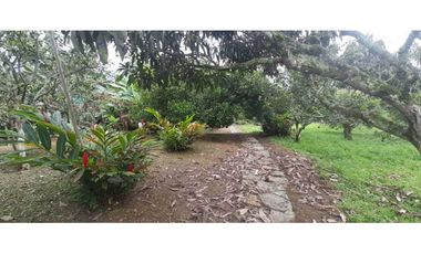 Finca En Mesitas Del Colegio Ideal Para Proyecto Turístico