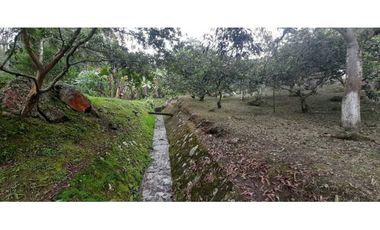 Finca En Mesitas Del Colegio Ideal Para Proyecto Turístico