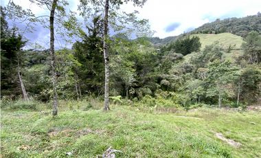 Lote Parcelacion Via Las Palmas Sector Los Salados (Retiro)