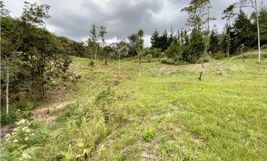 Lote Parcelacion Via Las Palmas Sector Los Salados (Retiro)