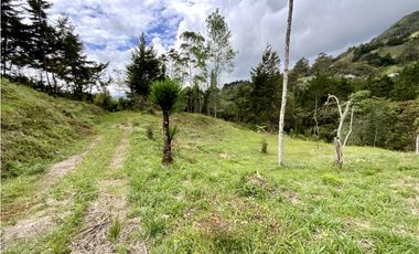 Lote Parcelacion Via Las Palmas Sector Los Salados (Retiro)