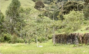 Lote Parcelacion Via Las Palmas Sector Los Salados (Retiro)
