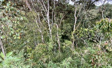 Lote Parcelacion Via Las Palmas Sector Los Salados (Retiro)