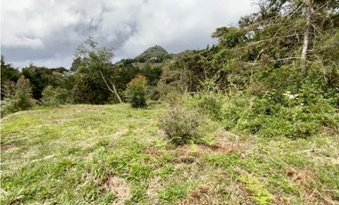 Lote Parcelacion Via Las Palmas Sector Los Salados (Retiro)