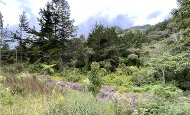 Lote Parcelacion Via Las Palmas Sector Los Salados (Retiro)