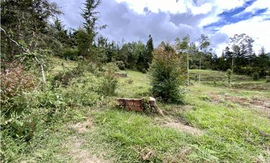 Lote Parcelacion Via Las Palmas Sector Los Salados (Retiro)