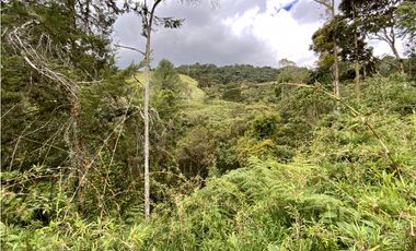 Lote Parcelacion Via Las Palmas Sector Los Salados (Retiro)