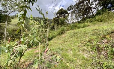 Lote Parcelacion Via Las Palmas Sector Los Salados (Retiro)