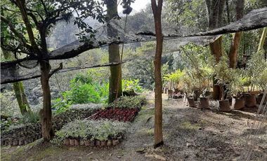 Venta de Lote Industrial ubicado en la Estrella