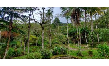 Se vende finca de 7 hectáreas La Cumbre Bitaco Chicoral Valle Colombia