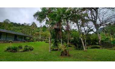Se vende finca de 7 hectáreas La Cumbre Bitaco Chicoral Valle Colombia