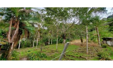 Se vende finca de 7 hectáreas La Cumbre Bitaco Chicoral Valle Colombia