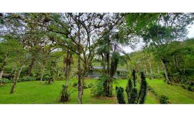 Se vende finca de 7 hectáreas La Cumbre Bitaco Chicoral Valle Colombia