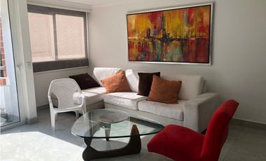 Apartamento en Arriendo Medellin  Sector Los Balsos