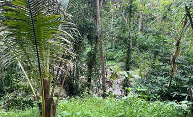 Tanah cocok untuk hunian atau villa dengan view sungai di tabanan