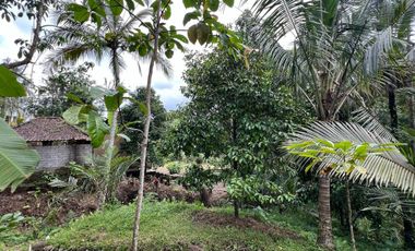 Tanah cocok untuk hunian atau villa dengan view sungai di tabanan