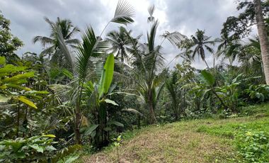 Tanah cocok untuk hunian atau villa dengan view sungai di tabanan