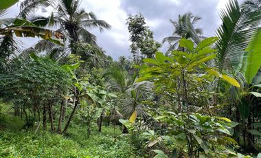 Tanah cocok untuk hunian atau villa dengan view sungai di tabanan