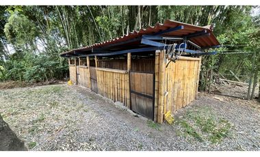 VENTA DE CASA CAMPESTRE EN CALARC, QUINDO, COLOMBIA