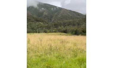 Venta Lote@ oportunidad en precio en villa de Leyva