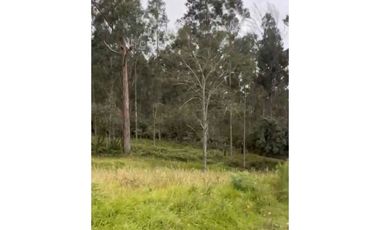 Venta Lote@ oportunidad en precio en villa de Leyva