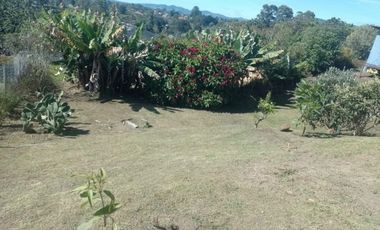 Hermosa finca en el Carmen de Viboral