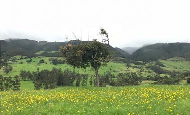 Se Vende Lote Condominio Cerrado La Calera 9439681